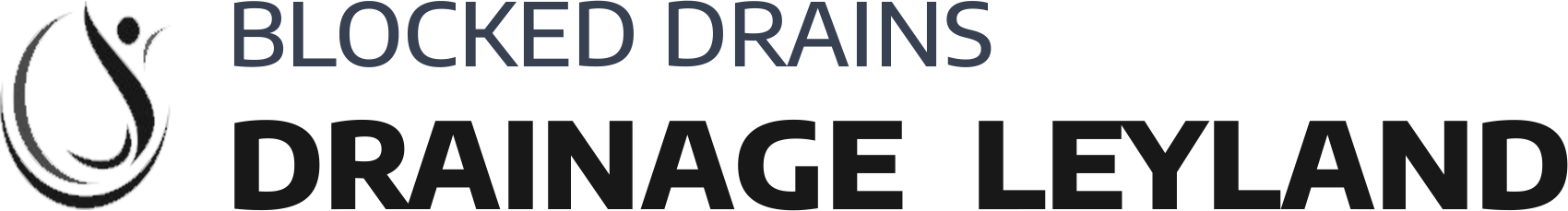 website logo